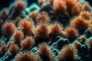 Here is an easy explanation of coral polyps and how they make neighborhoods underwater.. Creative resource, AI Generated photo