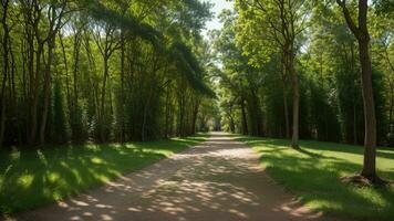 winding timberland pathway, dappled with daylight and included by over the beat greenery. AI Generated photo