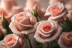 Pretty roses are a nice gift for moms on Mother's Day to show love and respect. We can see them close.. Creative resource, photo