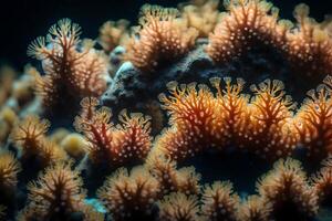 Here is a simple explanation of coral polyps and how they create underwater neighborhoods.. Creative resource, AI Generated photo