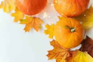 Autumn leaves with pumpkin border at the bottom, beautiful autumn background. Flashing lights on the background, beautiful bokeh. photo