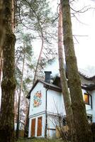 very beautiful holiday complex in a pine forest photo