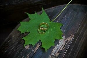 Wedding rings on green maple leaves photo