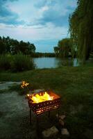 evening landscape - burning firewood in the grill - preparation for the frying of meat, near the lake photo