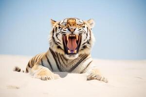 Tigre descansando en el playa naturaleza ver ai generado foto