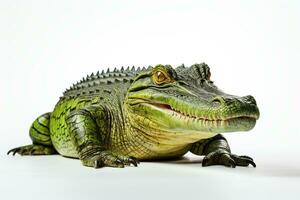 Crocodile isolated on a white background, close up Ai Generated photo