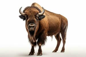 Bison isolated on white background with clipping path. Side view. Ai Generated photo