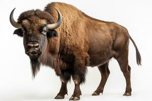 Bison isolated on white background with clipping path. Side view. Ai Generated photo