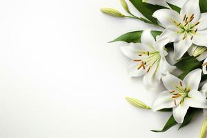 Beautiful lily flowers on white background, top view. Space for text Ai Generated photo