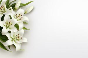 Beautiful lily flowers on white background, top view. Space for text Ai Generated photo