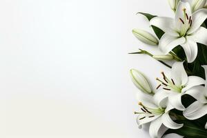 Beautiful lily flowers on white background, top view. Space for text Ai Generated photo