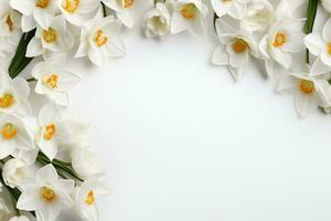 Beautiful daffodils on white background, top view. Space for text Ai Generated photo