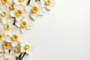 Beautiful daffodils on white background, top view. Space for text Ai Generated photo