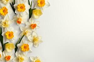 Beautiful daffodils on white background, top view. Space for text Ai Generated photo