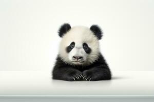 Cute panda sitting on the table isolated on white background. Ai Generated photo