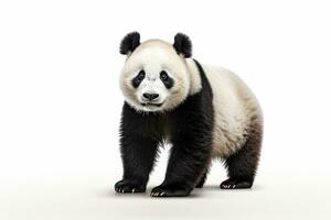 Cute panda sitting on the table isolated on white background. Ai Generated photo