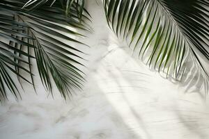 Tropical palm leaves on white wall background. Summer concept. Ai Generated photo