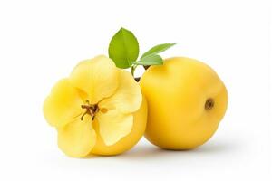 Yellow quince fruit with yellow flower isolated on a white background. Ai Generated photo