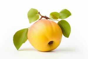 Yellow quince fruit with yellow flower isolated on a white background. Ai Generated photo