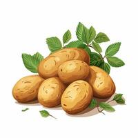 Potatoes with green leaves isolated on white background. Vector illustration. Ai Generated photo