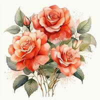 Beautiful watercolor rose bouquet on white background. Vector illustration. Ai Generated photo