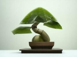 Beautiful expensive bonsai tree on white background ai generated photo