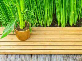 Wooden table on bamboo plant background ai generated photo