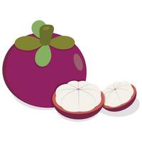 Mangosteen Illustration with half Cut vector