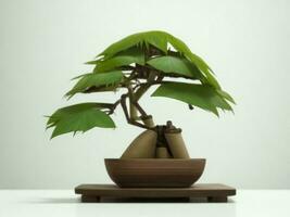 Beautiful expensive bonsai tree on white background ai generated photo