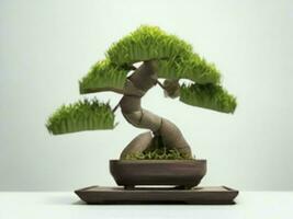 hermosa costoso bonsai árbol en blanco antecedentes ai generado foto