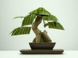 Beautiful expensive bonsai tree on white background ai generated photo