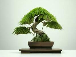 Beautiful expensive bonsai tree on white background ai generated photo