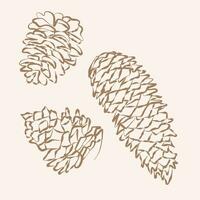 Set of pine cones, design elements, hand drawn vector illustration, sketch. Doodle, simple outline illustration for decoration of textile, paper and other surfaces.