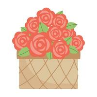 Red roses in basket isolated on white backgound. Bunch of flowers vector illustration. Flat style.