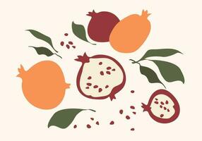 Set of drawn pomegranate. Isolated elements. Simple design vector