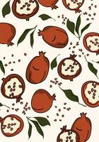 Abstract pomegranate and grains with  leaves  on white background. Template with linear fruit vector