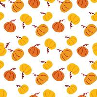 Seamless pattern. Pumpkin hand drawn vector. Autumn harvest vector