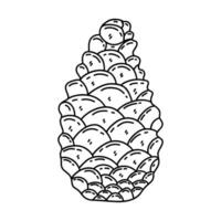 Pine cone on a white background. Vector