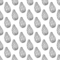 Seamless pattern. Pine cones black and white. Vector