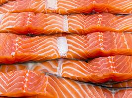 fresh salmon fillet on ice photo