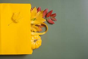 Autumn shopping and sales concept. Autumn fallen leaves and a shopping bag flat lay on a green background photo