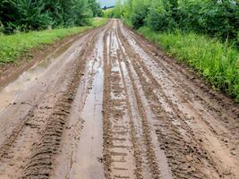 dirt road with dirt tracks in the countryside. photo