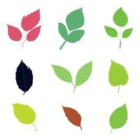 leaves of various plants white background. vector