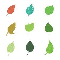 leaves of various plants set white background. vector