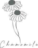 logotipo de arte de línea de flores vector