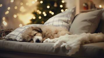 ai generado linda perro dormido en sofá en habitación con Navidad árbol y luces foto