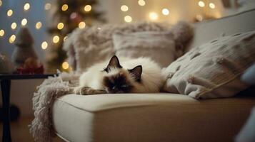 Cute Siamese cat sleeping on sofa in living room at christmas time Ai generated photo