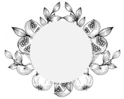 Hand Drawn Pomegranate Fruit Illustration Wreath vector