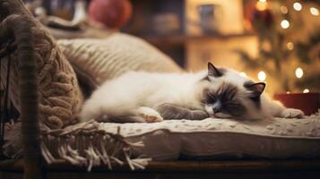 Cute Siamese cat sleeping on sofa in living room at christmas time Ai generated photo