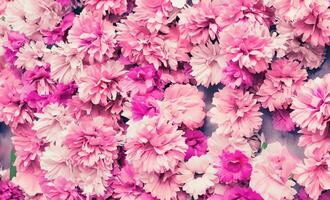Artificial Flowers Wall for Background in vintage style photo